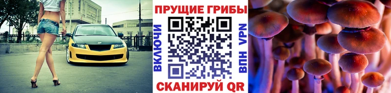 купить наркоту  Белозерск  Галлюциногенные грибы Magic Shrooms 